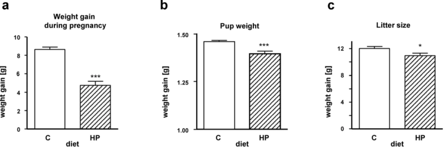 Figure 2. Effect of diets during pregnancy and birth. At day 1 after birth, mothers and litters were examined (group C [n = 50] as the base for C- C-C and C-C-HP, group HP [n = 25] is the base for HP-C-C)