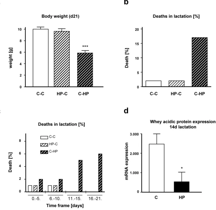 Figure 3. Effect of diets during lactation on body weight, survival and milk composition
