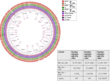 Fig 3. A) Pangenome analysis of the assembled whole genome sequence of two MTB isolates sequenced for this analysis