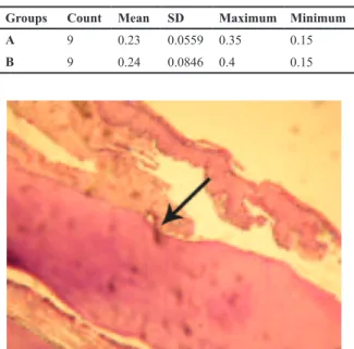 Table 1: Orthodontic tooth movement in the histologically  examined group A and the RT-PCR evaluated group B in  millimeters MinimumMaximumSDMeanCountGroups 0.150.350.05590.239A 0.150.40.08460.249B