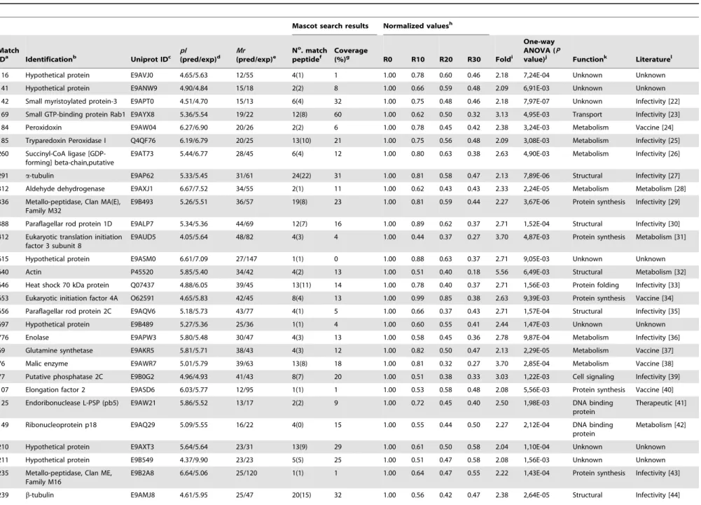 Table 2. Identification of proteins that presented a significant decrease in their expression content.