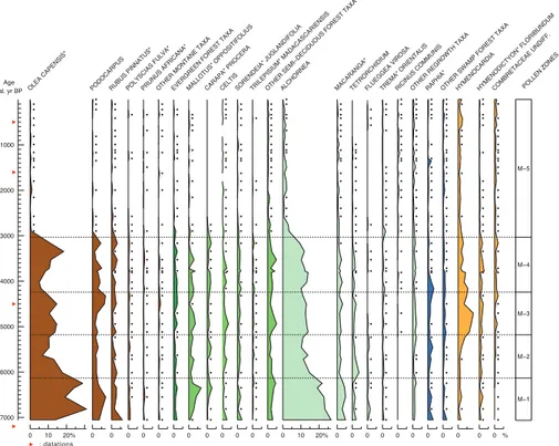 Fig. 3. The M4 pollen diagram for Lake Mbalang, Central Cameroon, showing relative percent- percent-ages of selected taxa (the pollen sum includes all identified pollen and spore taxa, excluding Bryophyta and indeterminable grains).