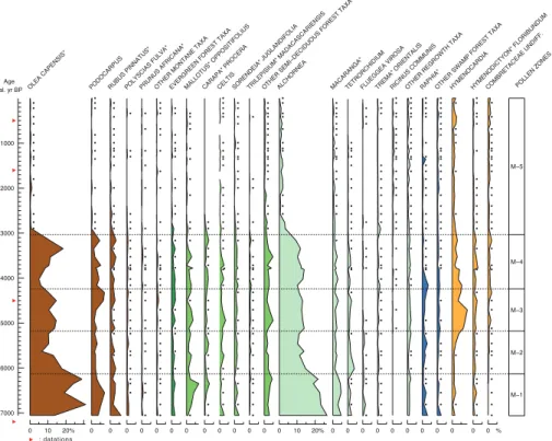 Fig. 3. The M4 pollen diagram for Lake Mbalang, Central Cameroon, showing relative percent- percent-ages of selected taxa (the pollen sum includes all identified pollen and spore taxa, excluding Bryophyta and indeterminable grains).