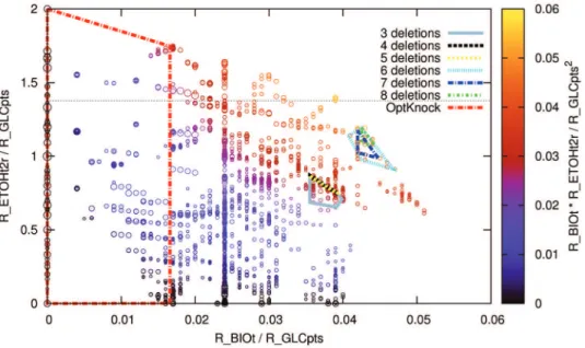 Figure 3 depicts a projection on biomass and ethanol flux of the total phenotypic space for the E