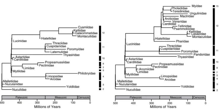 Figure 2. Subset of bivalve phylogenetic tree present in A. Antarctica and B. the Arctic Circle in the Modern