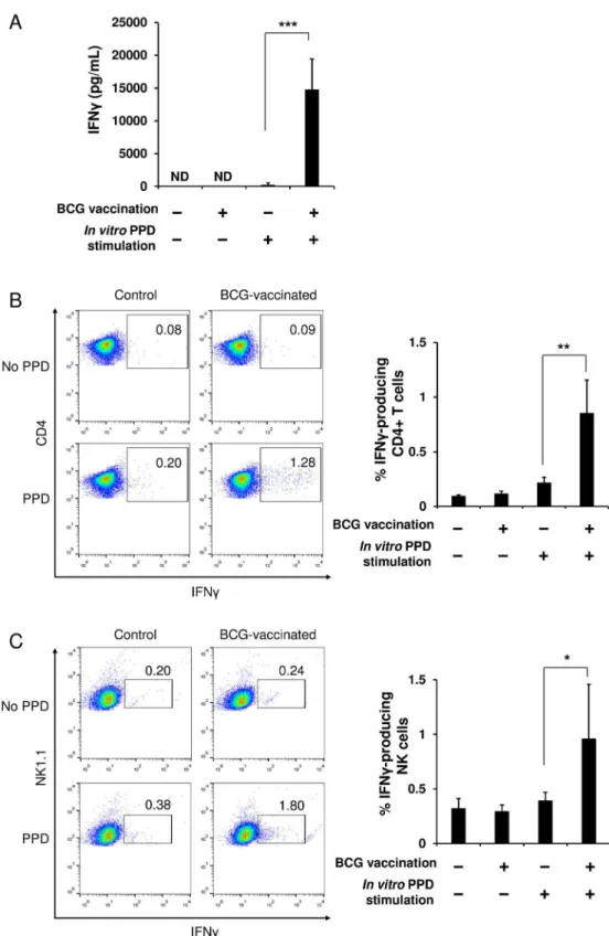 Fig 4. T cells and NK cells in spleens of BCG-immunized mice provoke specific IFNγ responses upon stimulation with PPD antigen