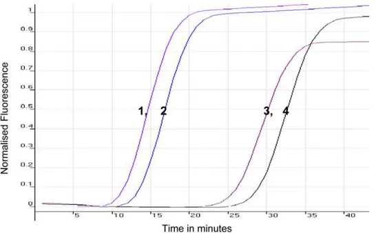 Figure 3. Visual Appearance of Postassay SRA LAMP Reactions from Isolates after the Addition of 1 ml of 1/10 Dilution of SYBR Green I