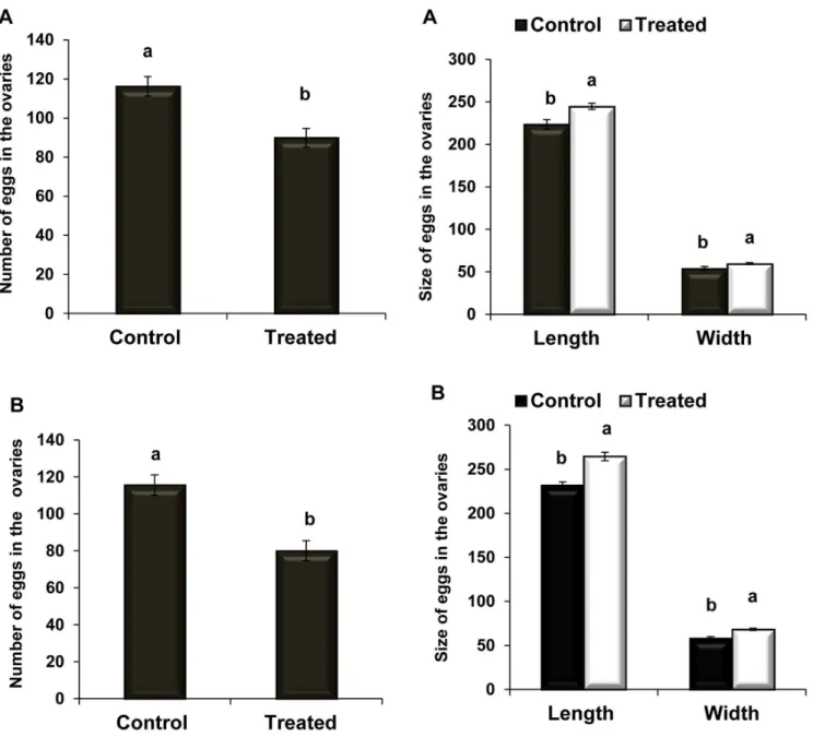 Figure 4. Effect of Nosema infection on the C. vestalis egg size.