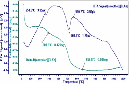Fig. 4. Thermogravimetric and differential thermal analyses of the raw clay 