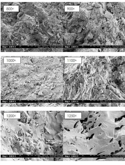 Fig. 6 shows the microstructure of the fracture surface of the clay bricks sintered from  800 o C to 1250 o C for 1 hour