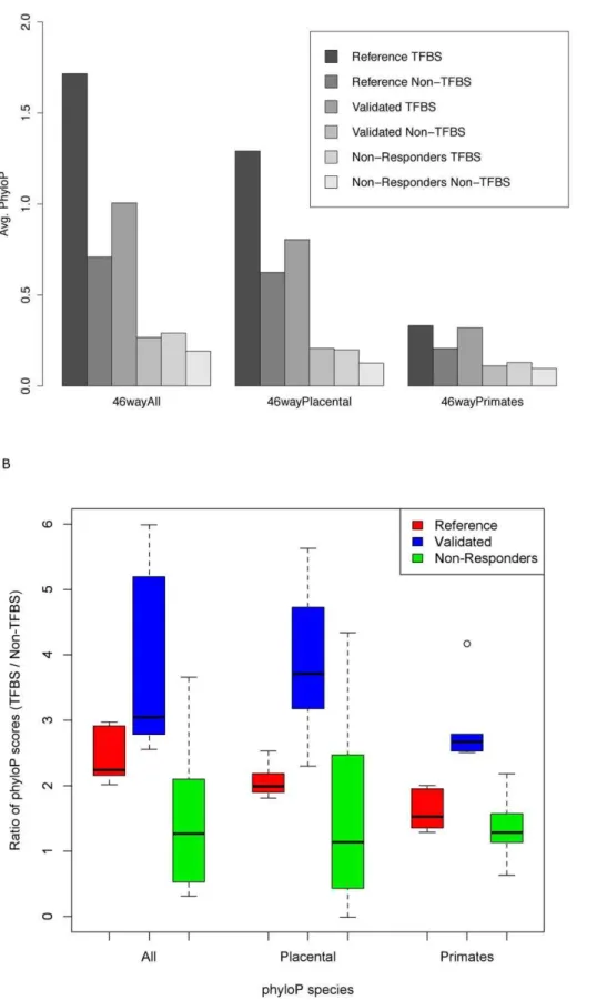 Figure 4. Phylogenetic depth analysis of TFBSs in responding and non-responding regions using phyloP (46-way, hg19)