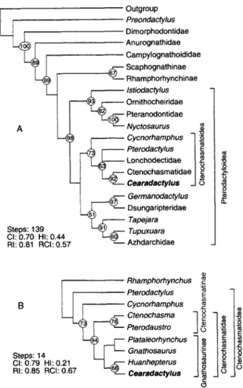 Fig.  zyxwvutsrqponmlkjihgfedcbaZYXWVUTSRQPONMLKJIHGFEDCBA 4.  Cladograms showing  (A) phylogenetic  relationships  of 