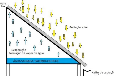 Figura 2: Esquema de funcionamento do destilador solar. Fonte: Acervo Próprio. 