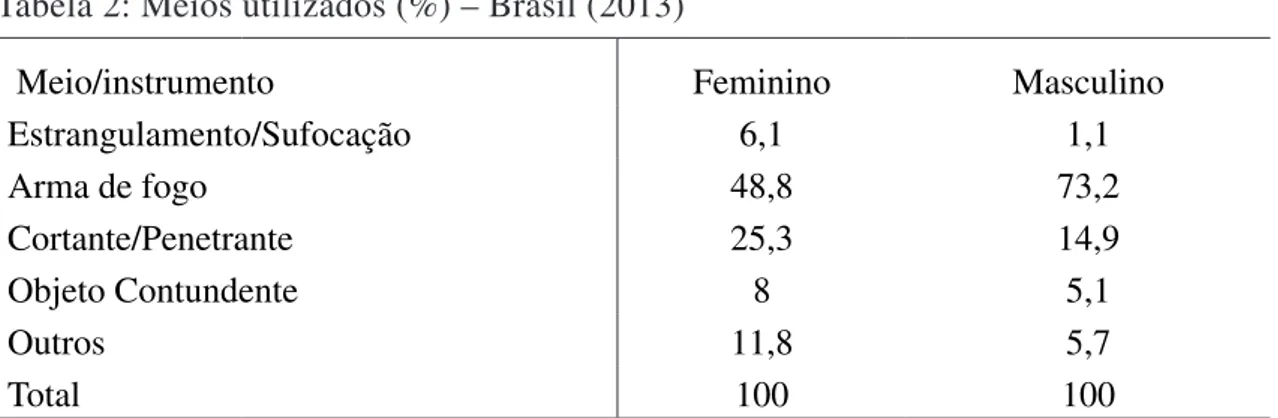 Tabela 2: Meios utilizados (%) – Brasil (2013)