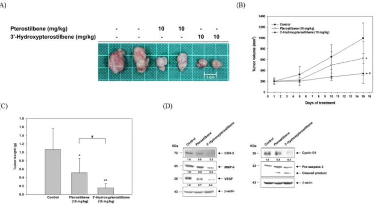 Table 2. Effects of pterostilbene and 39-hydroxypterostilbene administration on the body weight and organ weight in a COLO 205 xenograft model a .