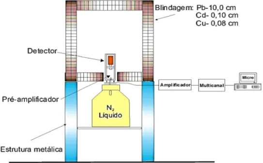 Figure 1: Spectrometry system composed by AKIRA detector + Dewar + shielding + asso- asso-ciated electronics.