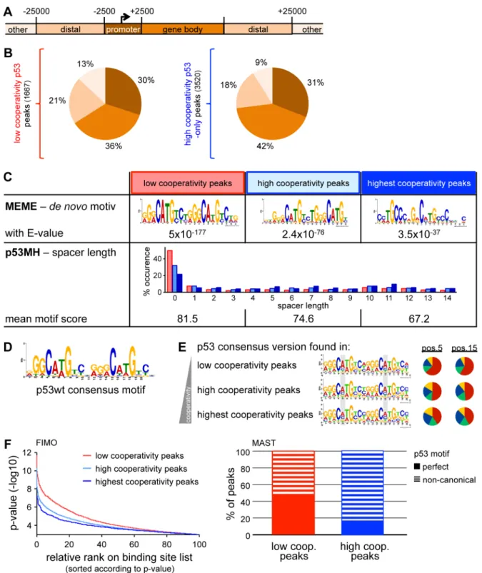 Figure 2 Cooperativity reduces the sequence specificity of p53 DNA binding. (A) Classification of genomic regions