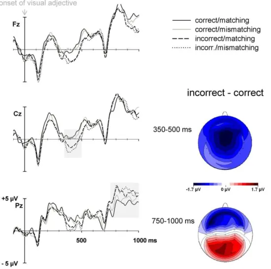 Figure 3. ERPs to semantically correct and incorrect adjectives, referred to a 100 ms pre-noun baseline, as a function of whether they were preceded by an acoustic stimulus matching or mismatching syntactically with the adjective of the sentence