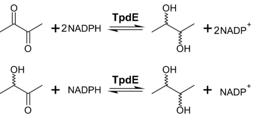 Figure 3 Diacetyl conversion to 2,3-butanediol catalyzed by TpdE.