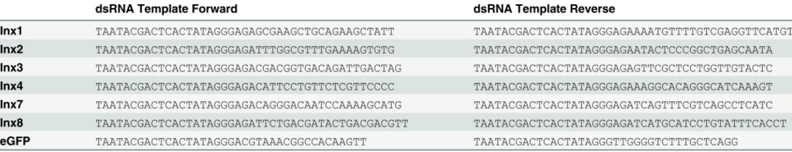 Table 1. dsRNA template synthesis primers. Each primer set consists of an innexin specific region for amplification of the target gene from plasmid, and the T7 promoter sequence ( TAATACGACTCACTATAGGGAGA ).