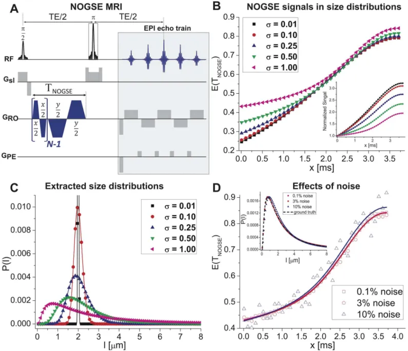 Fig 1. Characterizing size distributions from NOGSE data. (A) NOGSE MRI sequence used, encompassing an initial block probing the confinements over a time T NOGSE , and a single-shot spin-echo Echo-Planar-Imaging readout (NOGSE gradients are shown along the
