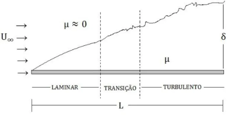 Figura 3: Desenvolvimento da camada limite.