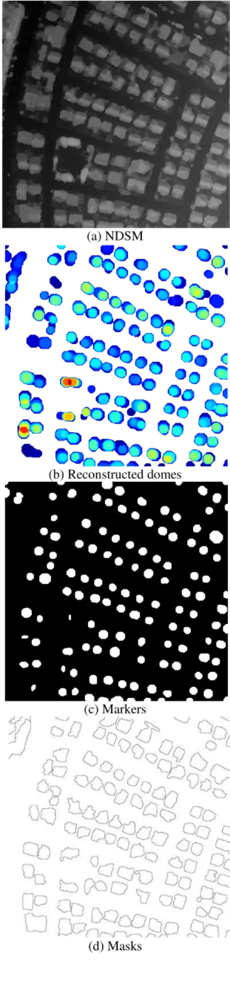 Figure 3 Granulometry and PS using opening-by-reconstruction  2.3 Dome reshaping 
