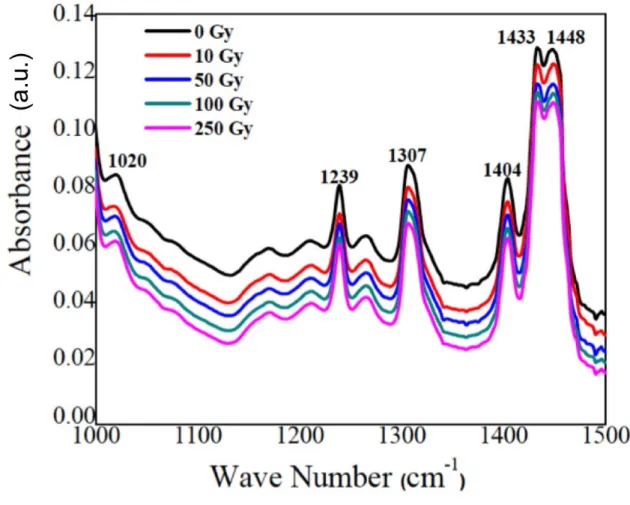 Figure 1: FTIR spectra from 1000 to 1500 cm -1  for polybutadiene samples exposed to different  absorbed doses of gamma radiation