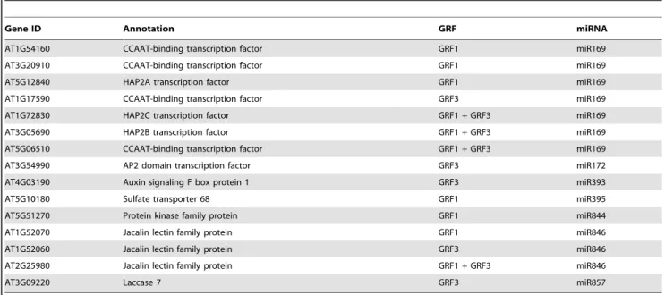 Figure 4. Overexpression of rGRF1 or rGRF3 alters the expression of other miRNAs. The expression levels of mature miR169, miR172, miR393, miR395, miR844, miR846, and miR857 were quantified in transgenic plants constitutively expressing the miR396-resistant