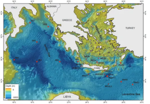 Fig. 1. Study area and location of sampling sites across the Eastern Mediterranean Sea