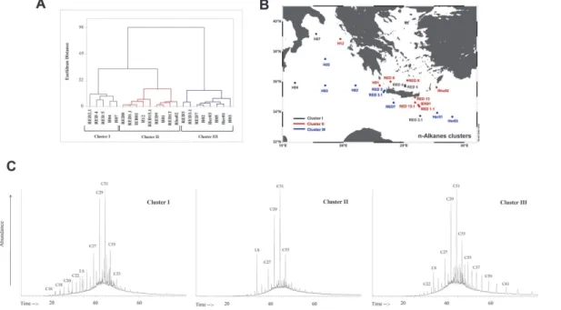 Fig. 5. Hierarchical diagram obtained from cluster analysis of all stations with regard to n- n-alkanes profile (A), clustered station sites (B) and characteristic GC-MS chromatographs for each returning cluster (C)