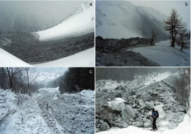 Fig. 5. Snow and rock deposit of the rock avalanche at different elevations (25 December 2008, G