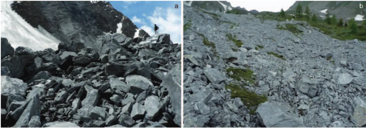 Fig. 9. Final rock deposit of the rock avalanche on the plateau, after the melting of the snow (June 2009)