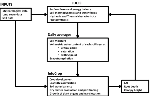 Figure 3. Flow chart of the coupling system.