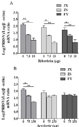 Fig. 4: Effect of ribavirin and acyclovir on viability of MARC-145 cells. 