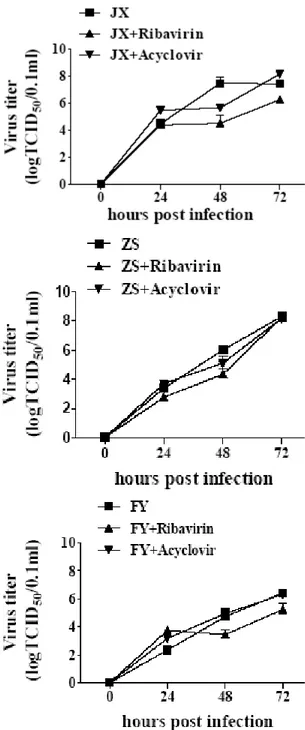 Fig. 6: The antiviral activity of ribavirin and acyclovir on PRRSV shown  as changes of viral titers at different time points