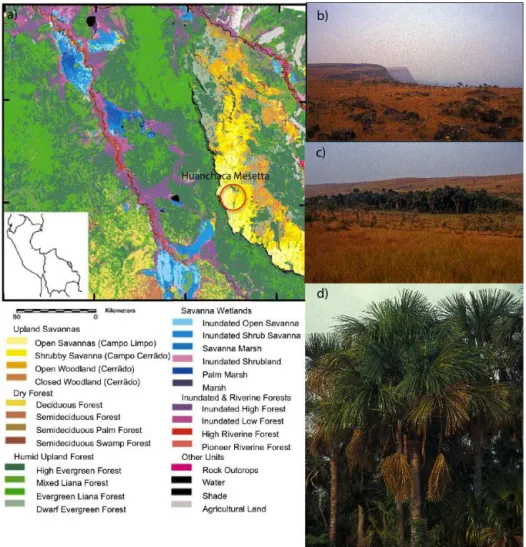 Figure 1. Huanchaca Mesetta study site (a) vegetation map of Noel Kempff Mercado National Park (NKMNP) modified from Killeen (1998b), (b) view from atop Huanchaca Mesetta, (c) Huanchaca Mesetta palm swamp, and (d) monospecific stand of Mauritia flexuosa