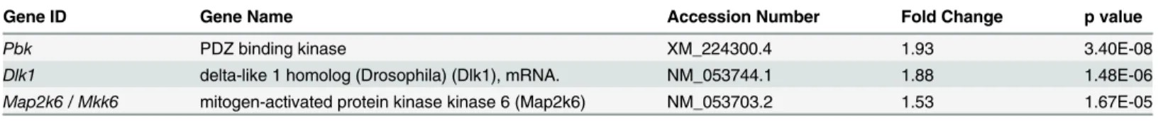 Table 4. PD169316 treatment elevates mRNA levels of p38 upstream activators.