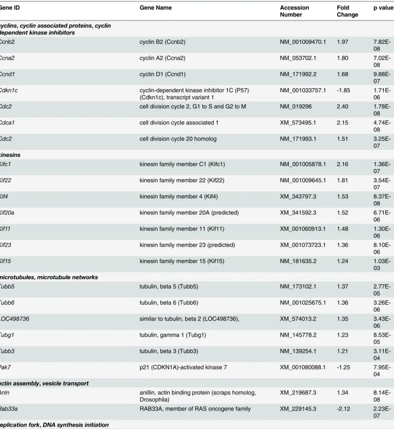 Table 5. Transcripts encoding cell cycle regulators, kinesins, centromere, spindle and kinetochore associated proteins are upregulated by 5 mM PD169316 treatment.