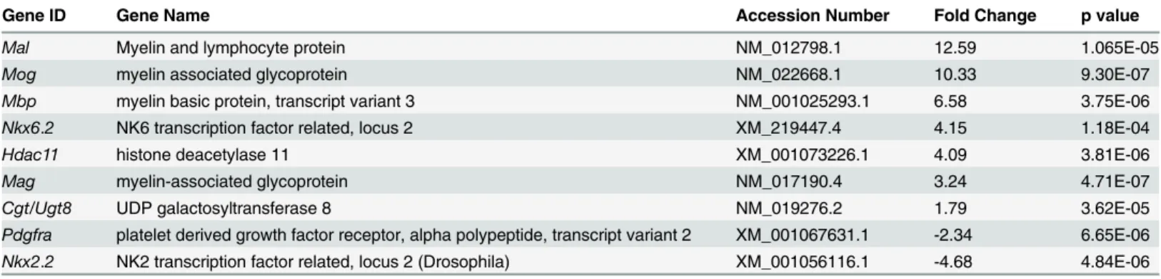 Fig 1. Gene expression profiling of oligodendrocyte progenitors treated with the p38 MAPK inhibitor, PD169316, reveals gene targets with diverse cellular functions