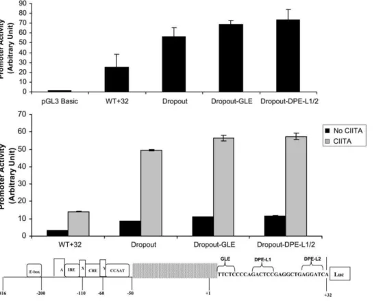Figure 6. Downstream elements preferentially regulate transcription initiating in the upstream promoter region