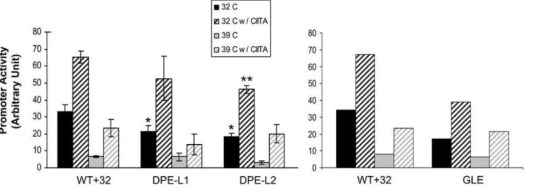 Figure 7. GLE, DPE-L1, and DPE-L2 function differently in TAF1-dependent transcription and TAF1-independent CIITA-mediated transcription