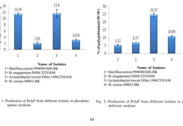 Fig.  2:  Production  of  PolyP  from  different  isolates  in  sulfur deficient  medium