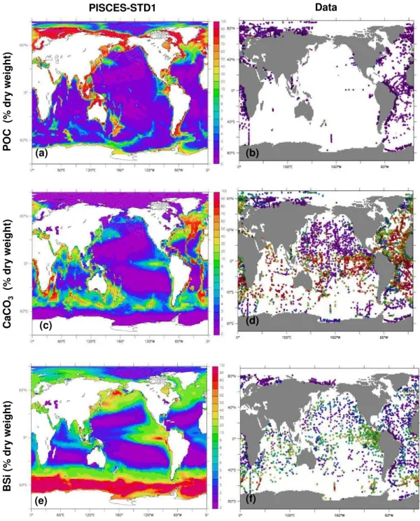 Fig. 4. Modelled and observed bulk composition (%-dry weight) of surface sediments: POC, CaCO 3 , BSi