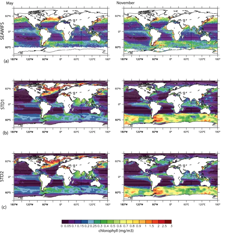 Fig. 1. Comparison between mean chlorophyll concentrations (mgChl/m 3 ) for May and November from SeaWifs and model output