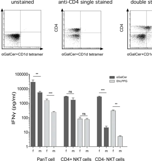 Figure 3. Characterization of NKT cells frequencies and NKT cell specific IFNc production in female and male mice