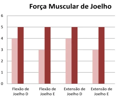 Gráfico 1: Teste de Força Muscular em joelhos  Fonte: Dados coletados pelo autor 