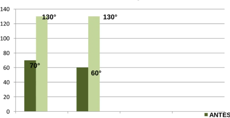 Gráfico 2: Goniometria em flexão ativa do joelho  Fonte: Dados coletados pelo autor 