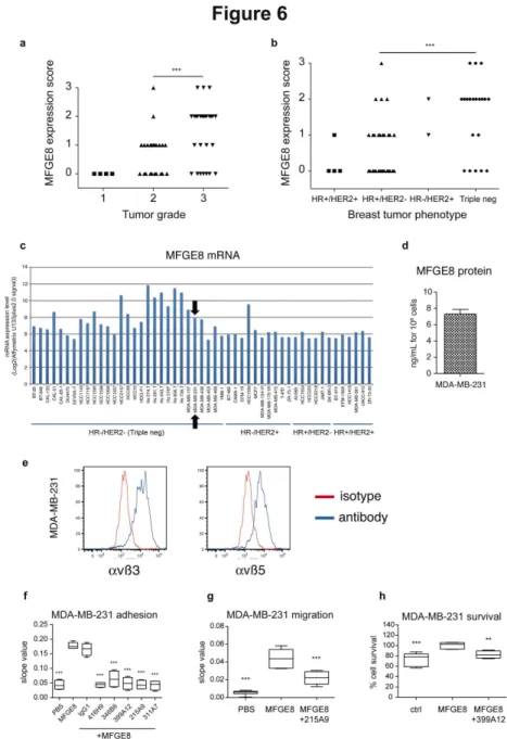 Figure 6.  Expression of MFGE8 in human breast carcinoma and effect of MFGE8 on MDA-MB-231 cells