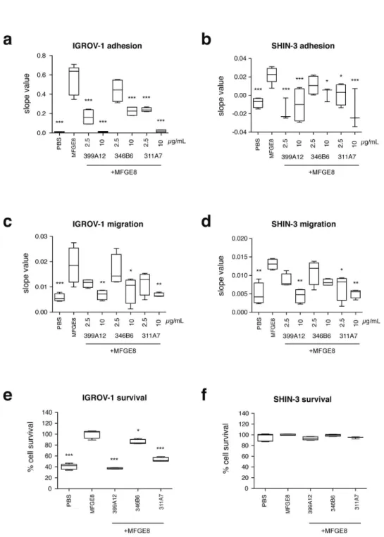 Figure  5.    Effect  of  MFGE8  and  anti-MFGE8  antibodies  on  IGROV-1  and  SHIN-3  ovarian  cancer  cells